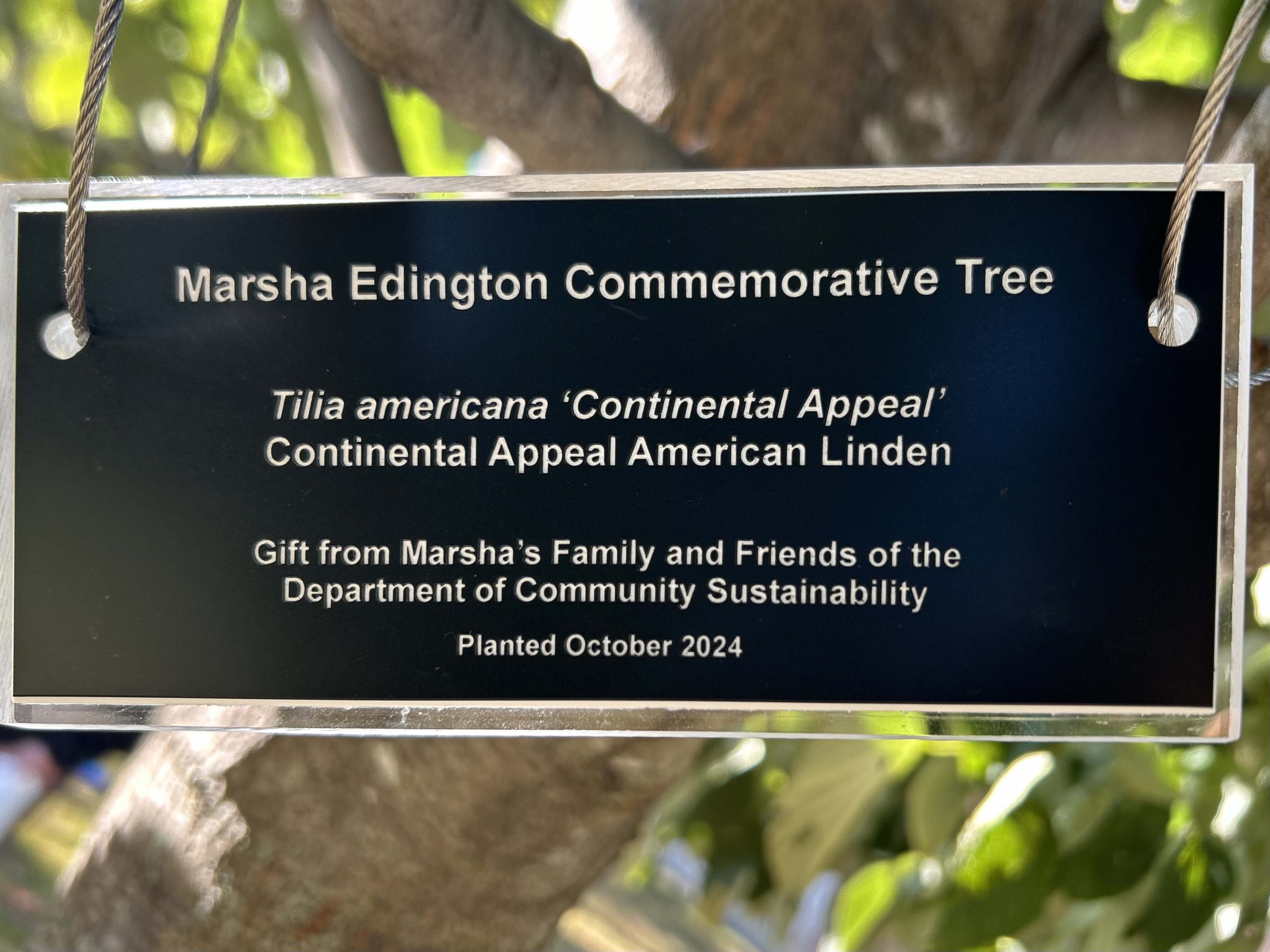 Edington Tree Planting plaque.jpg